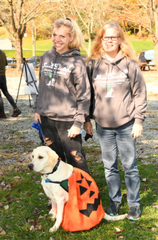 pumpkin dog